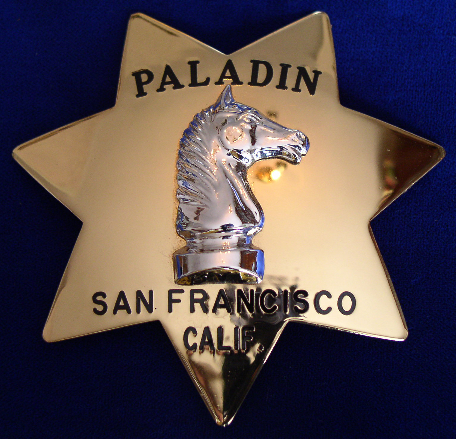 Paladin San Francisco, CA Custom Badge